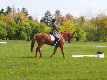 Dressage Break Cheshire